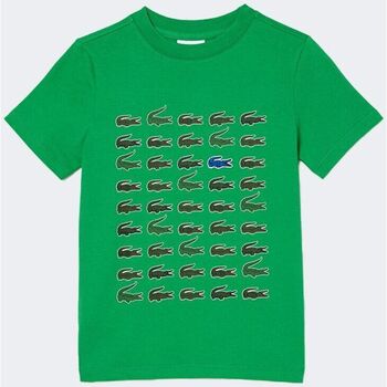 Vêtements Garçon T-shirts & Polos Lacoste  Vert