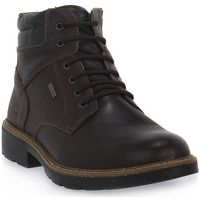Chaussures Homme Bottes IgI&CO MORO COUNTRY ROAD Marron