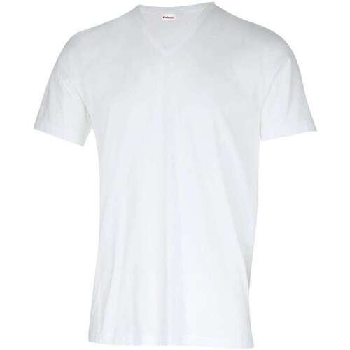 Vêtements Homme T-shirt Col V Homme Fait En Eminence 105363VTPER27 Blanc