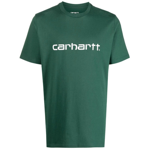 Vêtements Homme T-shirts manches courtes Carhartt WIP SCRIPT - T-shirt imprim Vert