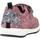 Chaussures Fille Baskets basses Geox B ALBEN GIRL Rose