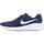 Chaussures Homme Baskets mode Nike REVOLUTION 7 Bleu