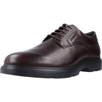 Chaussures Homme Derbies Stonefly FOREVER 2 CALF LTH Marron