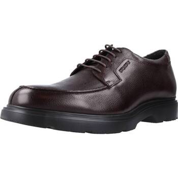 Chaussures Homme Petit : 1 à 2cm femme Stonefly FOREVER 3 CALF LTH Marron