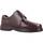 Chaussures Homme Derbies & Richelieu Pinoso's 34634 Marron
