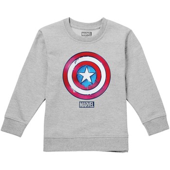 Vêtements Enfant Pulls Captain America  Gris