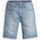 Vêtements Homme Shorts / Bermudas Levi's 39864 0108 - 405 STANDARS SHORT-MY HOME IS COOL SHORT Bleu