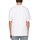Vêtements Homme T-shirts manches courtes Only & Sons  22027895 Multicolore