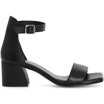 Chaussures Femme Sandales et Nu-pieds Café Noir C1XV1129 Noir