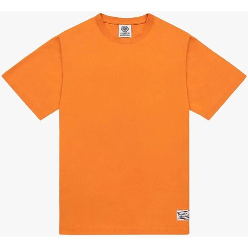 Vêtements T-shirts & Polos Désir De Fuite JM3180.1000P01-609 Orange
