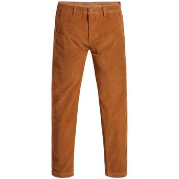 Vêtements Homme Pantalons Levi's 17196 XX CHINO STD II-0095 NONKS ROBE Beige
