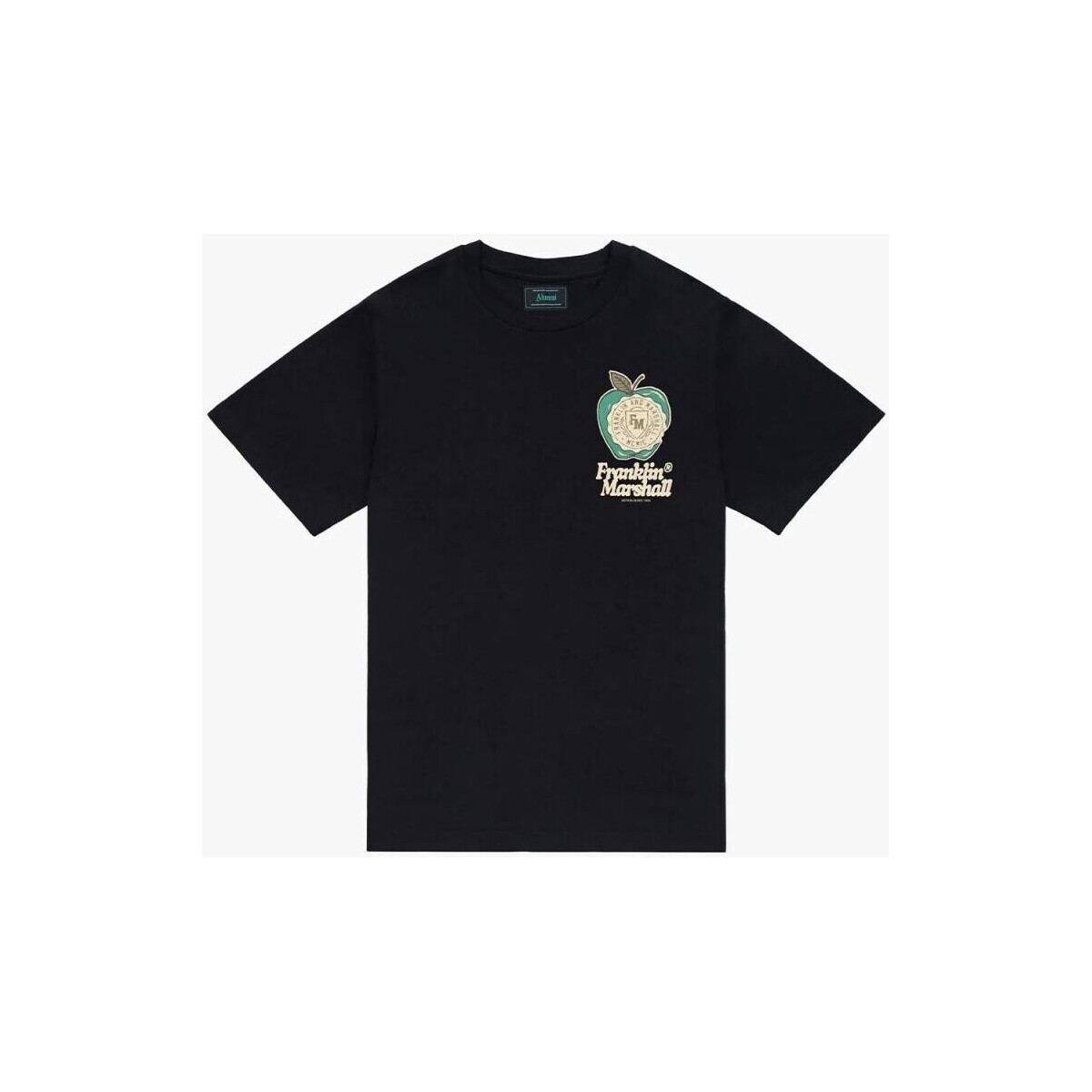 Vêtements Homme T-shirts & Polos Franklin & Marshall JM3215.1012P01-980 Noir