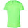 Vêtements Homme T-shirts & Polos Mizuno 32GA2655-33 Vert