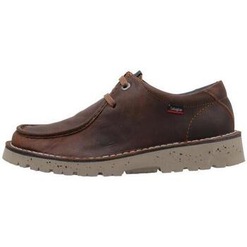Chaussures Homme Zapatos De Hombre Callaghan CallagHan 55504 Marron