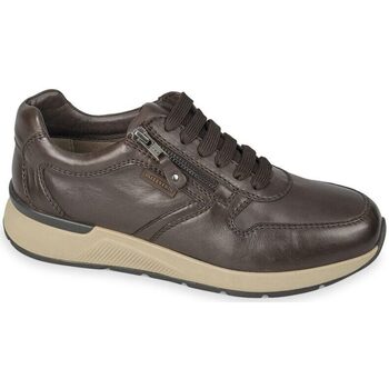 Chaussures Homme Baskets mode Valleverde 36842A-1001 Marron