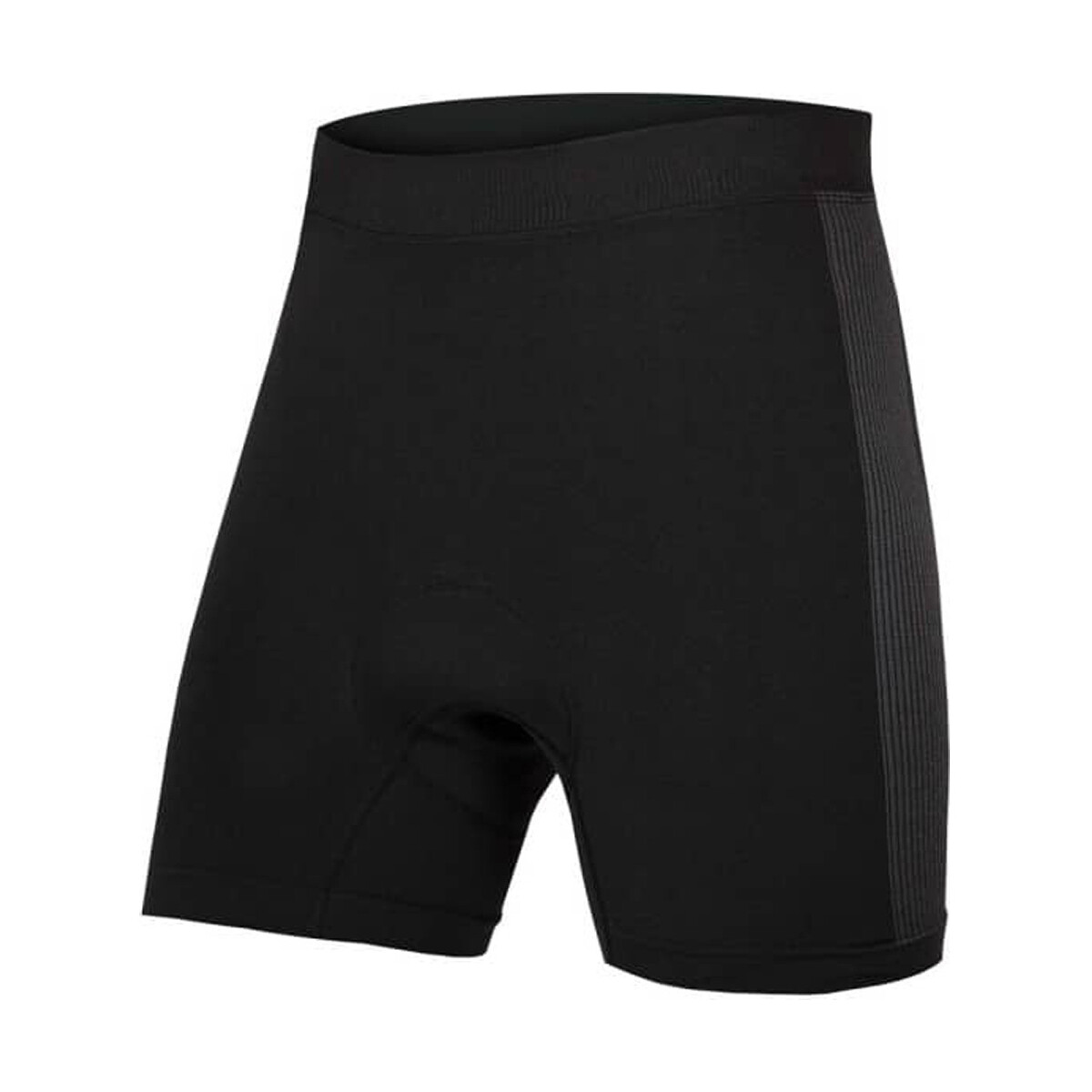 Vêtements Shorts / Bermudas Endura Boxer con badana II Noir