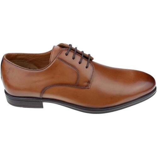 Chaussures Homme Sneakers Garvalin 221330-C-0 S Pop Salamander Maleno Marron