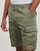 Vêtements Homme Shorts / Bermudas Levi's CARRIER CARGO SHORTS Vert