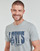 Vêtements Homme T-shirts manches courtes Levi's GRAPHIC CREWNECK TEE Gris