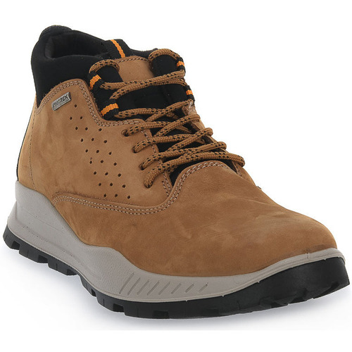 Chaussures Homme Bottes Imac BROWN Marron