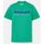 Vêtements Homme T-shirts & Polos Timberland TB0A6SE1 SS EST. 1973 CREW TEE-ED3 CELTIC GREEN Vert