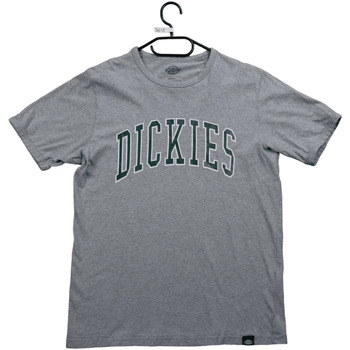 Vêtements Homme T-shirts manches courtes Dickies T-Shirt Gris