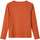 Vêtements Garçon T-shirts manches courtes Name it 155886VTAH23 Orange