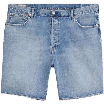 Vêtements Homme Shorts / Bermudas Levi's 127614VTPE22 Marron