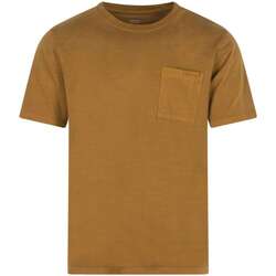 Vêtements Homme T-shirts manches courtes Levi's 145847VTPE23 Marron