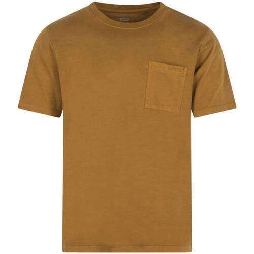 Vêtements Homme T-shirts manches courtes Levi's 145847VTPE23 Marron