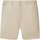 Vêtements Homme Shorts / Bermudas Levi's 145865VTPE23 Marron