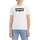 Vêtements Homme T-shirts manches courtes Levi's 155140VTAH23 Blanc