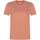 Vêtements Femme T-shirts manches courtes Levi's 155173VTAH23 Orange
