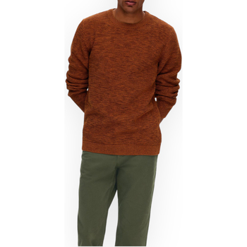 Vêtements Homme Pulls Selected 16059390 SUGARALMOND Orange