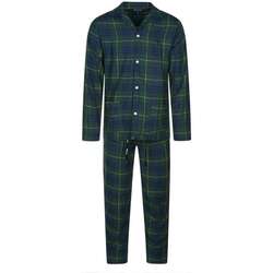 Vêtements Homme Pyjamas / Chemises de nuit Arthur 157215VTAH23 Vert
