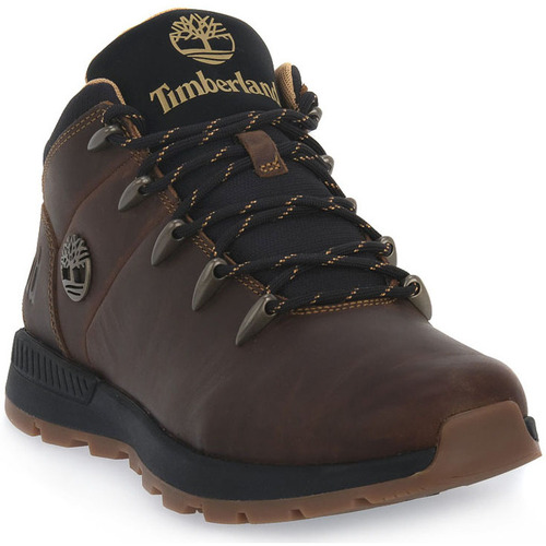Chaussures Homme Bottes Timberland SPRINT TREKKER MID CATHAY SPICE Marron