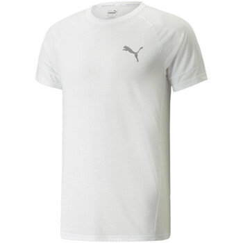 Vêtements Homme T-shirts & Polos Puma 847394-02 Blanc