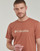 Vêtements Homme T-shirts manches courtes Columbia CSC Basic Logo Tee Marron