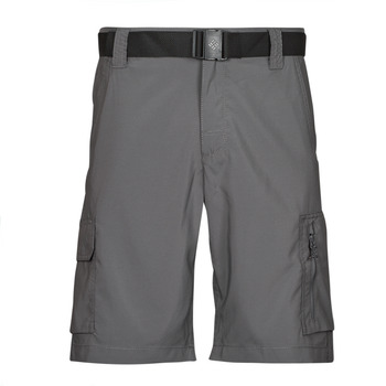 Vêtements Homme Shorts / Bermudas Columbia Russell R Mens Shorts Short Gris