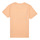 Vêtements Garçon T-shirts manches courtes Jack & Jones JJELOGO TEE SS NECK 2 COL 23/24 NOOS JNR Orange