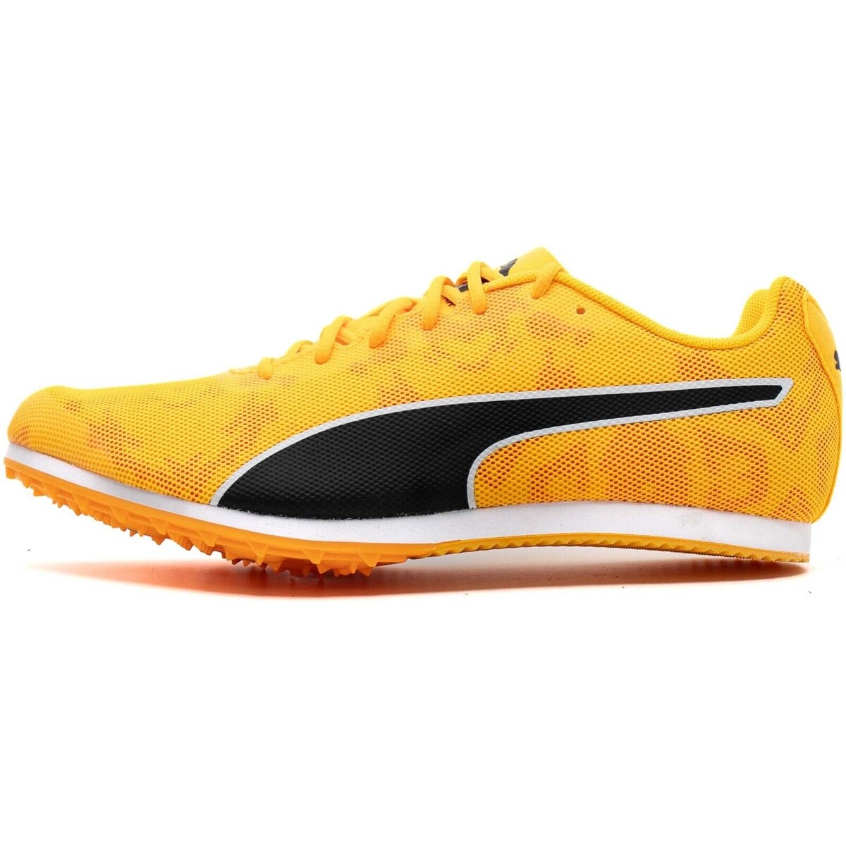 Chaussures Running / trail Puma Evospeed Star 8 Orange