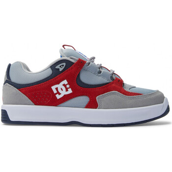 Chaussures Chaussures de Skate DC Shoes KALYNX ZERO S grey red Gris