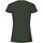 Vêtements Femme T-shirts manches longues Fruit Of The Loom 61420 Vert
