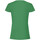 Vêtements Femme Mens T Shirts Tommy Hilfiger White 61420 Vert