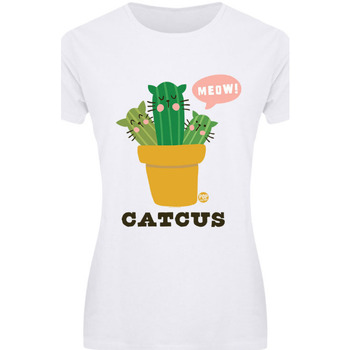 Vêtements Femme T-shirts manches longues Pop Factory Catcus Multicolore