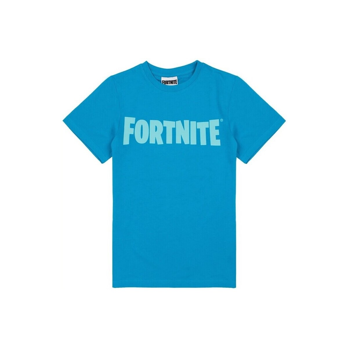 Vêtements Enfant T-shirts manches courtes Fortnite Battle Royale Bleu