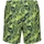 Vêtements Homme Shorts / Bermudas Regatta Loras Vert