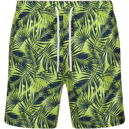 Vêtements Homme Shorts / Bermudas Regatta Loras Vert