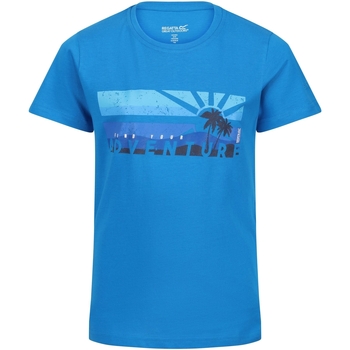 Vêtements Enfant T-shirts manches courtes Regatta Bosley VI Bleu