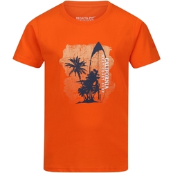 Vêtements Enfant T-shirts manches courtes Regatta  Orange